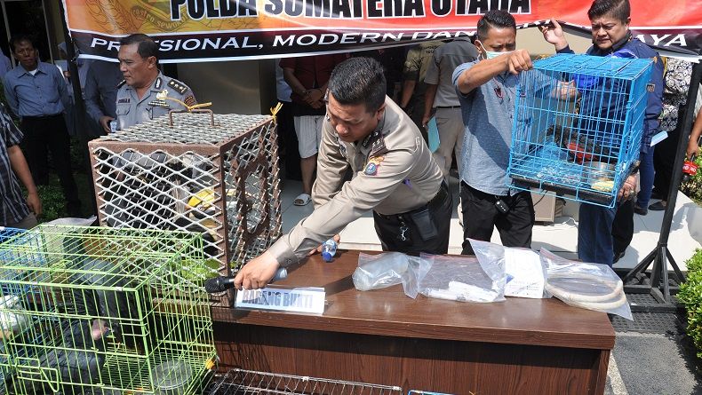 Hewan Langka di Sumut Diduga Diperjualbelikan Online