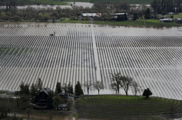 Diterjang Banjir dan Longsor, 'Kota-Kota Anggur' California Jadi Pulau