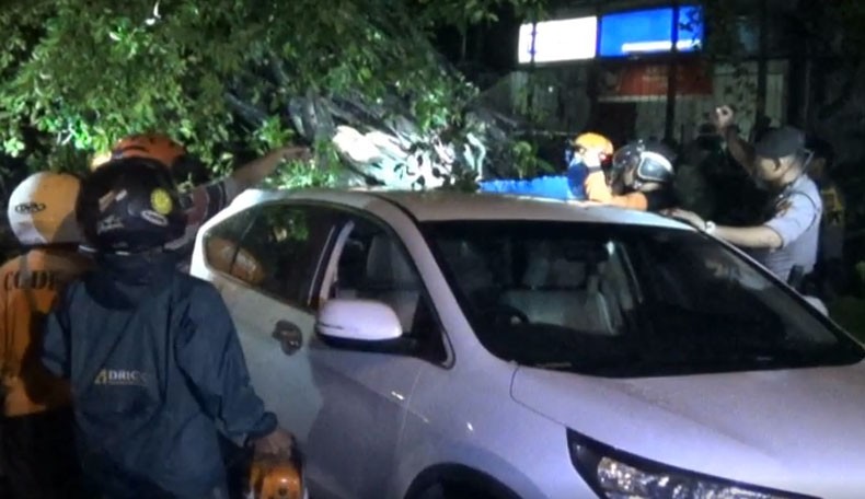 Hujan Deras dan Angin Kencang Landa Yogya, Pohon Tumbang Timpa 2 Mobil