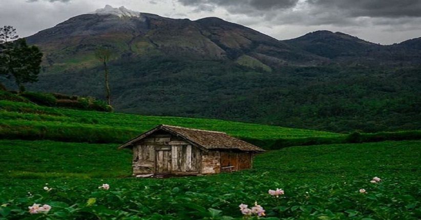 Terpikat Pesona Lereng Gunung Welirang Mojokerto, Indah Mirip Swiss