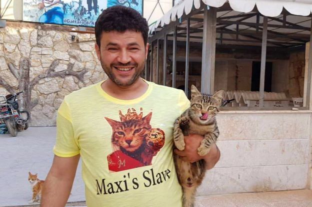 Kisah Pria Penyayang Kucing dari Aleppo Suriah yang Punya Hati Mulia