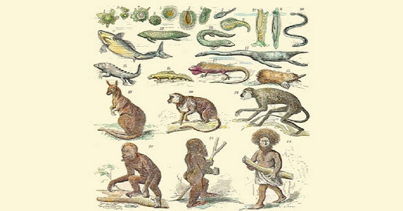 4 Teori Evolusi yang Mungkin Belum Pernah Anda Dengar