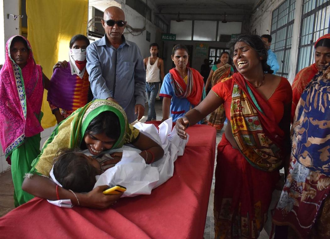 100 Anak di India Meninggal akibat Penyakit Otak, Diduga karena Buah Leci