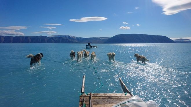 Lautan Es di Greenland Meleleh Tak Lazim, Peneliti Ingatkan Dampaknya ke Dunia
