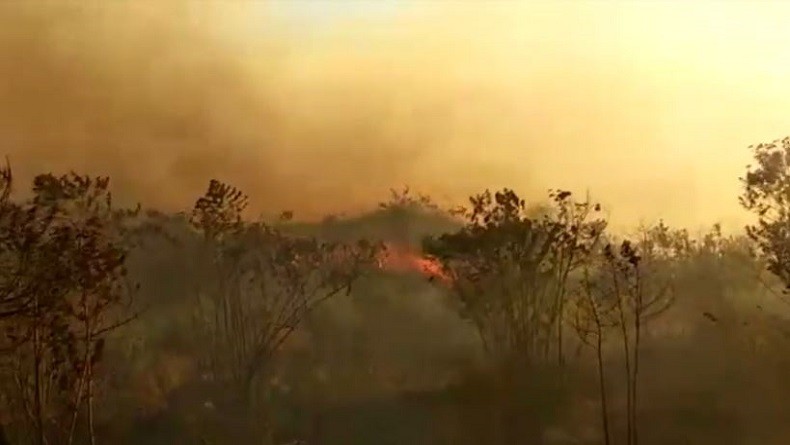 Angin Kencang Jadi Kendala Petugas Memadamkan Kebakaran Hutan di Gunung Ciremai