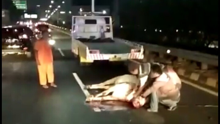 Taksi Tabrak Sapi di Tol Tomang, Netizen: Kok Bisa?
