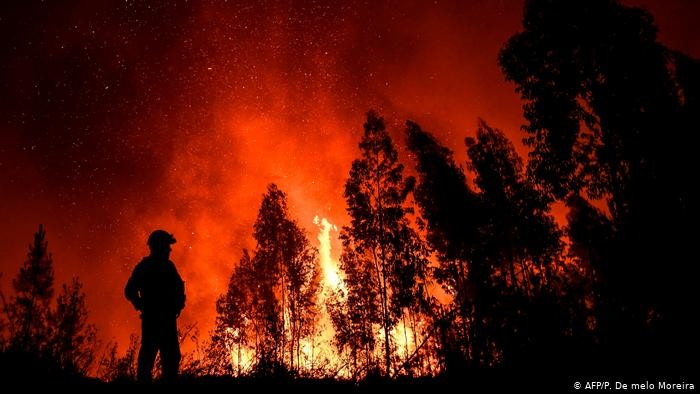 Angin Kencang dan Suhu Panas Picu Kebakaran Hutan Besar di Yunani