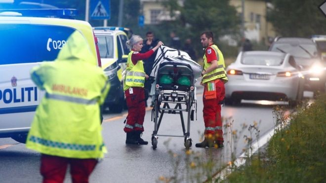 Penembakan di Masjid Norwegia, 1 Orang Terluka