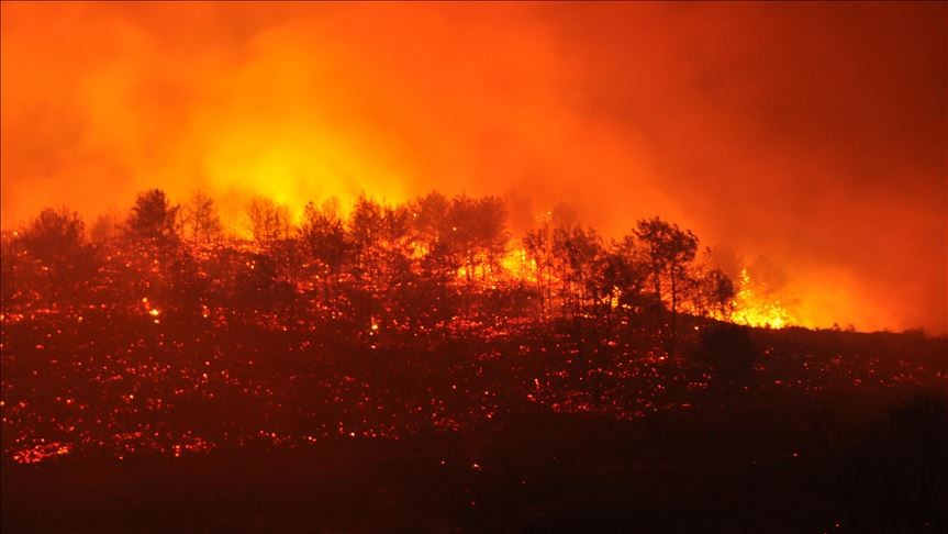 Kebakaran Hutan Landa 4 Wilayah Turki, 23 Helikopter dan 250 Tank Dikerahkan