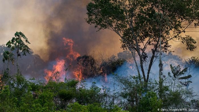 Macron: Kebakaran Hutan Amazon Krisis Internasional, Harus Dibahas di KTT G-7