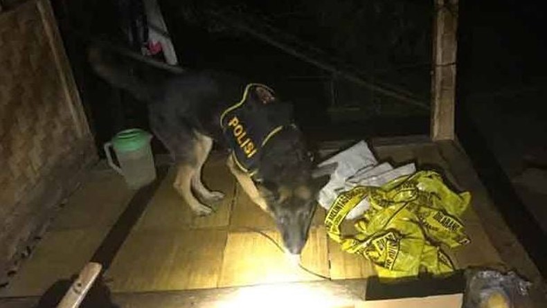Cari Korban Longsor, Polres Bogor Kerahkan 3 Anjing Pelacak
