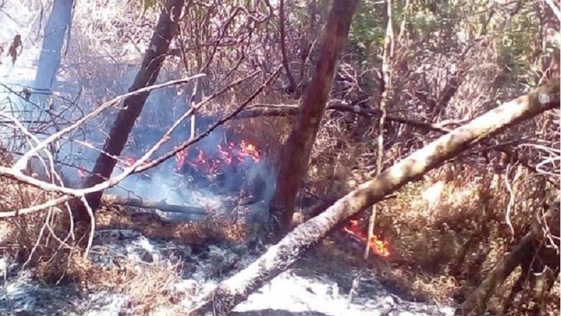 Hutan Gunung Sumbing Jateng Terbakar, Lokasi Bukan Jalur Pendakian