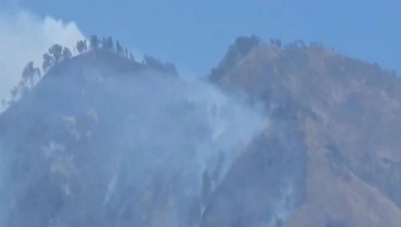 Karhutla di Puncak Gunung Wilis, Petugas Berjibaku Padamkan Api di Medan Curam