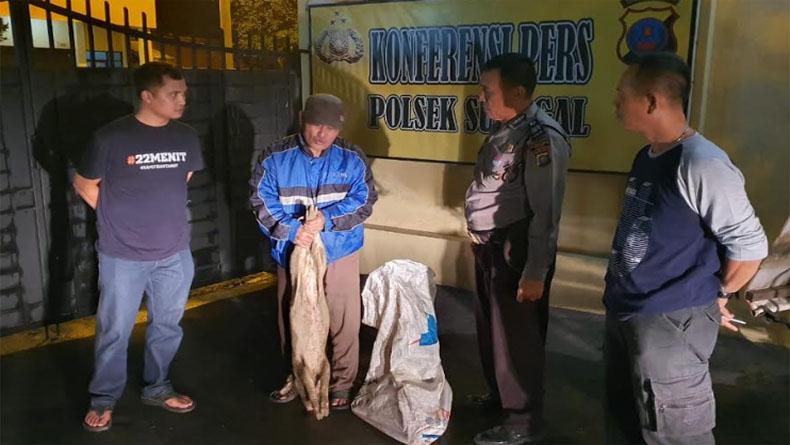 Dibayar Rp500.000, Pria Ini Ditangkap saat Hendak Buang Bangkai Babi di Deliserdang