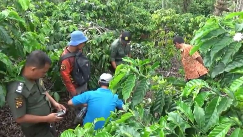 Sempat Diteror Harimau, Kawasan Pendakian Gunung Dempo Kembali Dibuka