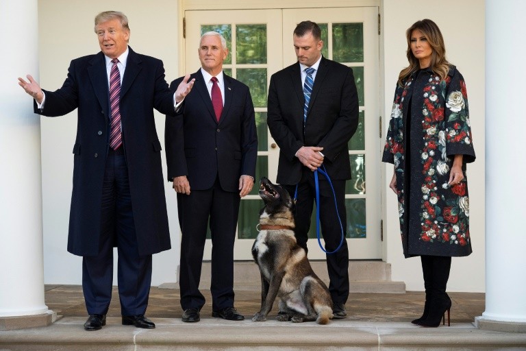Trump Kenalkan Conan ke Dunia, Anjing 'Pahlawan Luar Biasa' yang Serang Al Baghdadi