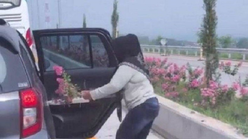 Viral Emak-Emak Cabut Bunga Hias di Jalan Tol, PT Jasamarga: Jangan Terulang Lagi