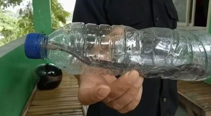 Kuras Kolam Ikan Pak RT, Warga Lubuklinggau Nyaris Tewas Dipatuk Ular