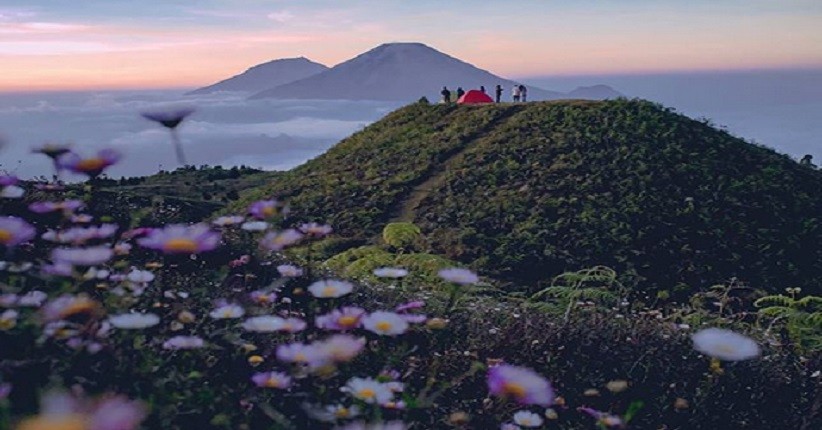 Pemandangan Savana Terindah di Indonesia, Bukitnya Bergelombang Mirip Permadani