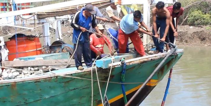 Nelayan Pulau Tanimbar Maluku Keluhkan Kapal-Kapal Andon Penangkap Telur Ikan
