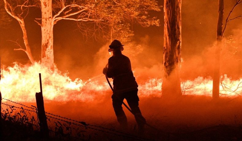 Ngeri, Hampir 3 Miliar Satwa Mati atau Telantar Akibat Kebakaran Hutan Australia