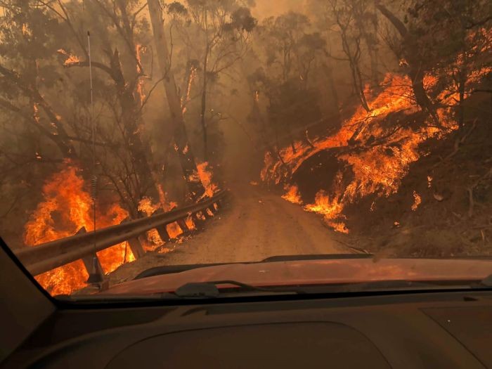 Australia Jadi Salah Satu Wilayah Terpanas dan Terkering di 2019