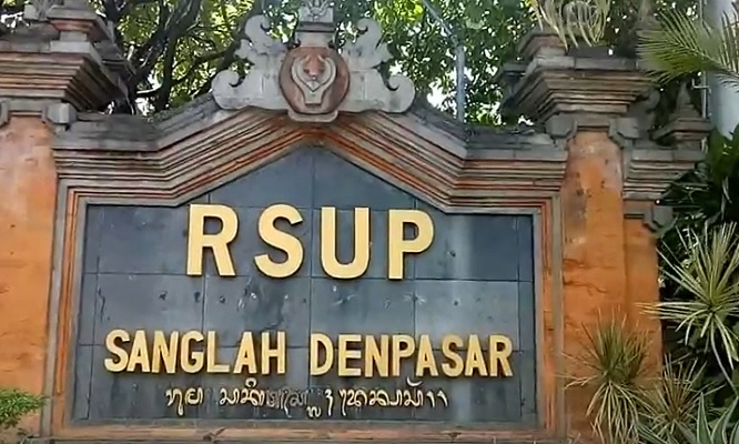 Tambah 7 RS, Bali Punya 11 Rumah Sakit Rujukan Covid-19