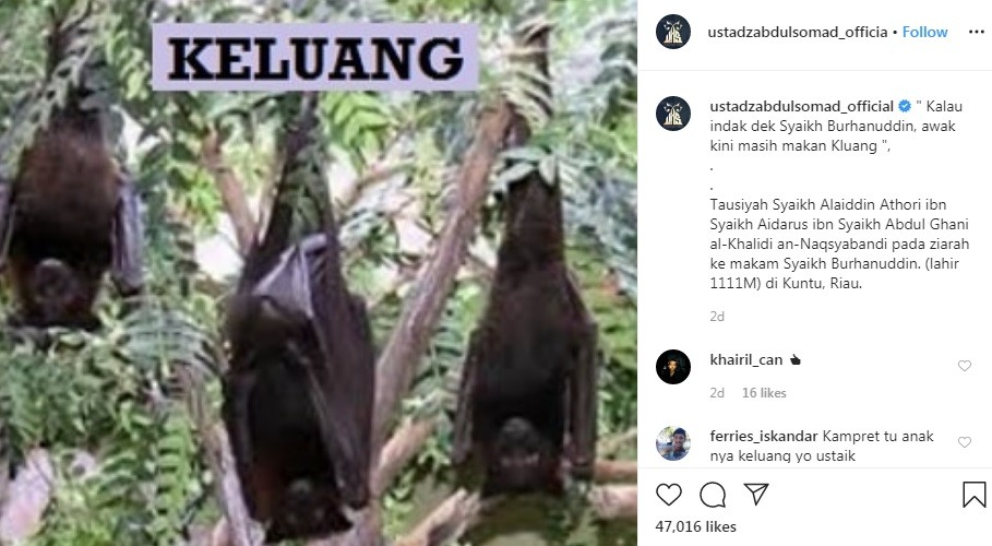 Ustaz Abdul Somad Cerita Makan Kelelawar di Akun Instagram
