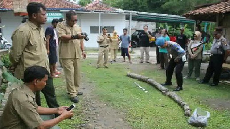 Warga Bonagung Sragen Temukan Fosil Gading Gajah Berusia 700 Tahun