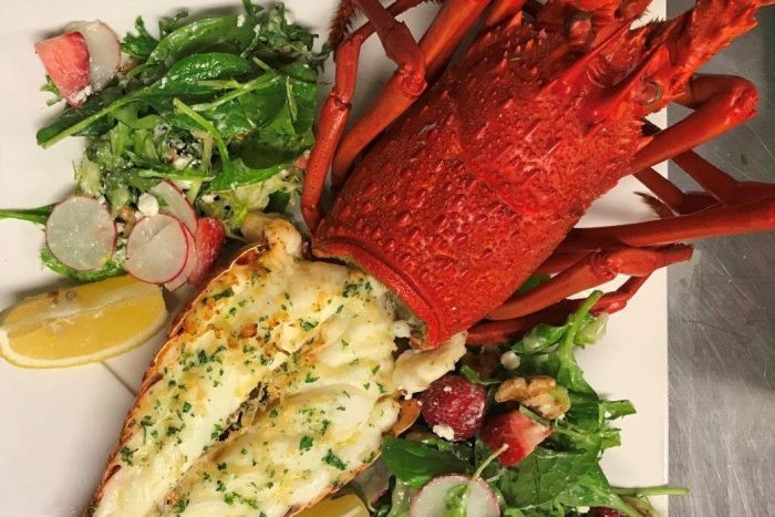 Dampak Virus Korona, Lobster Australia Kini Dijual Murah