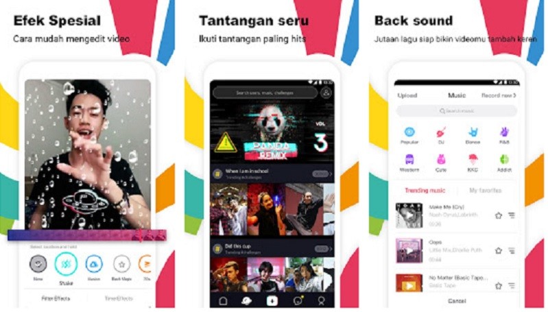 TikTok Uji Desain Profil Pengguna Mirip Instagram 