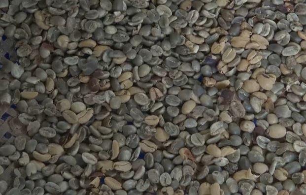 Kopi Aroma Jeruk dari Cianjur, Gurih dan Nikmat
