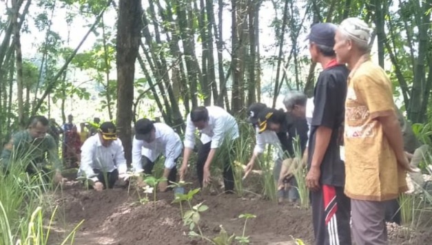 Presiden Jokowi Hijaukan Lahan Kritis di Wonogiri dengan Tanaman Vetiver