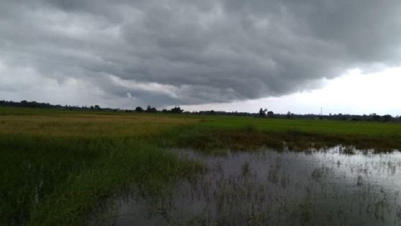 Sawah Petani di Maros Terendam Banjir, Petambak Ikan Khawatir Kolam Meluap
