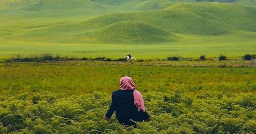 Musim Hujan Liburan ke Bromo, Bukit Teletubbies Terlihat Indah Sedang Menghijau