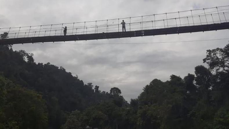 Ngeri, Bocah 8 Tahun Jatuh dari Jembatan Gantung di Kawasan Wisata Tangkahan