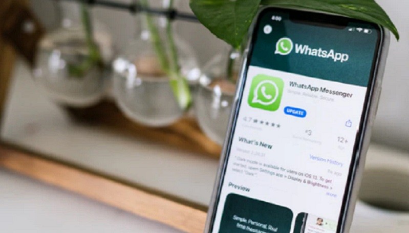 WhatsApp Uji Fitur Pencarian untuk Bantu Pengguna Perangi Berita Palsu