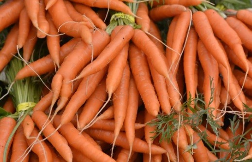 Cegah Virus Corona, Ini 5 Nutrisi Penting untuk Sistem Kekebalan Tubuh 