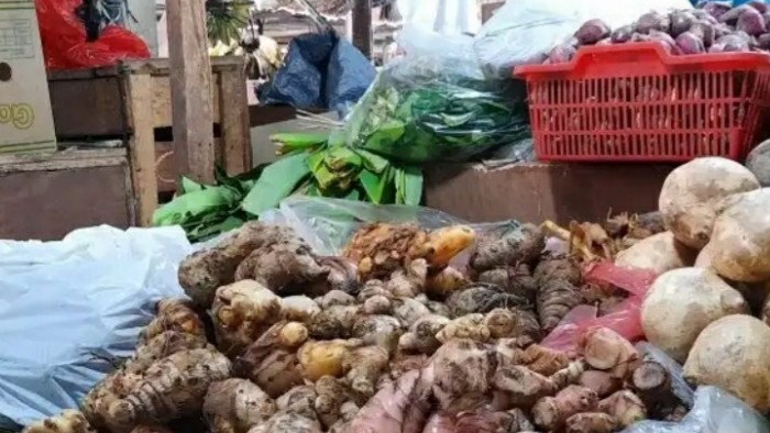 Imbas Corona, Harga Jahe Merah di Mesuji Tembus Rp120.000/Kg dan Tetap Diburu