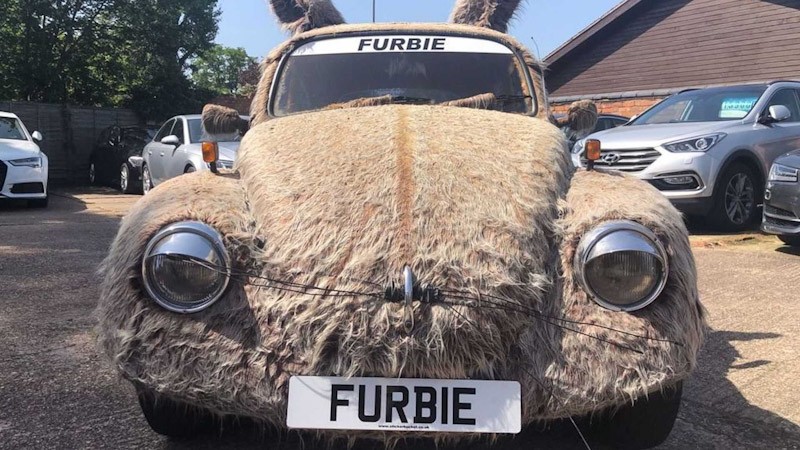 Unik, VW Kodok Ini Dimodifikasi Penuh Bulu dan Punya Kuping