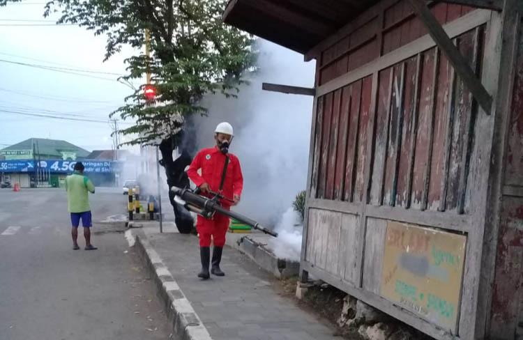  Awal Tahun 2020, DBD di Kabupaten Kulonprogo Capai 145 Kasus