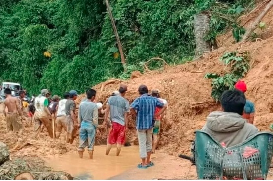 Walhi Sumsel Minta Pemda Fokus Antisipasi Bencana di 11 Daerah