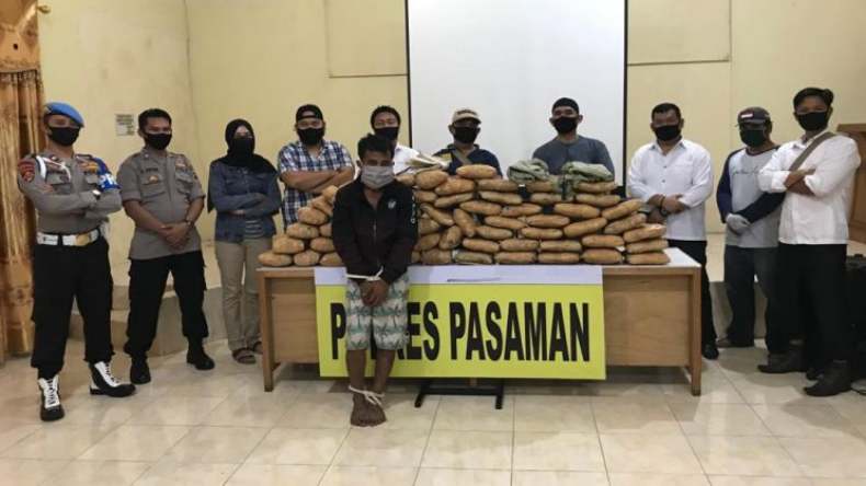 Simpan 91,5 Kg Ganja di Mobil, Pemuda di Pasaman Ditangkap Polisi