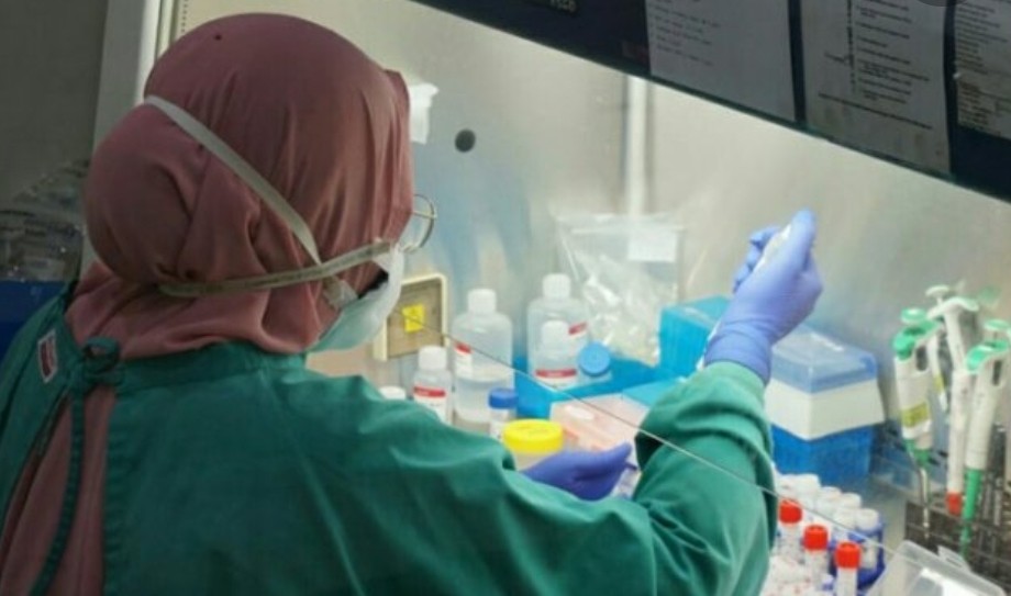 Kementan Manfaatkan Laboratorium Hewan untuk Uji PCR Covid-19