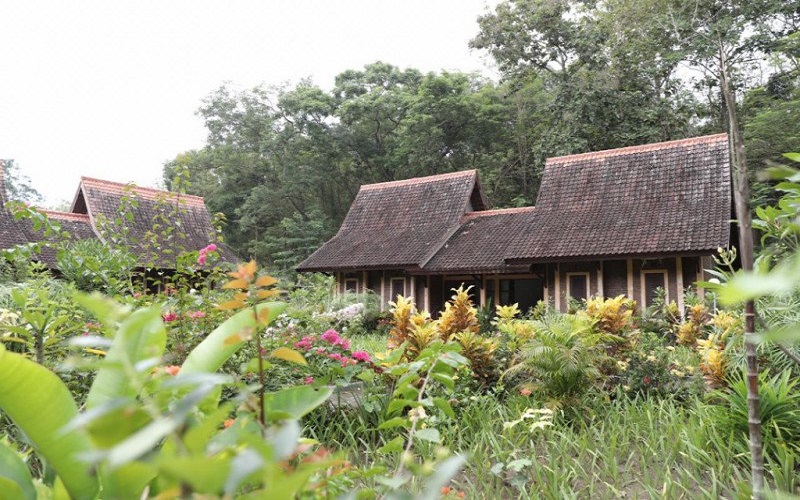 Paviliun Hutan Wanagama di Gunungkidul Jadi Tempat Karantina Pasien Reaktif Covid-19