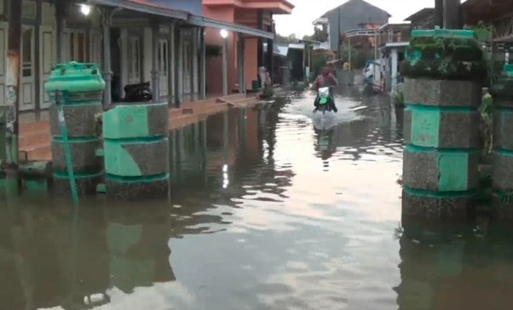 Banjir Rob Rendam Ratusan Rumah di Kaliwungu Kendal, Tambak Bandeng Rusak