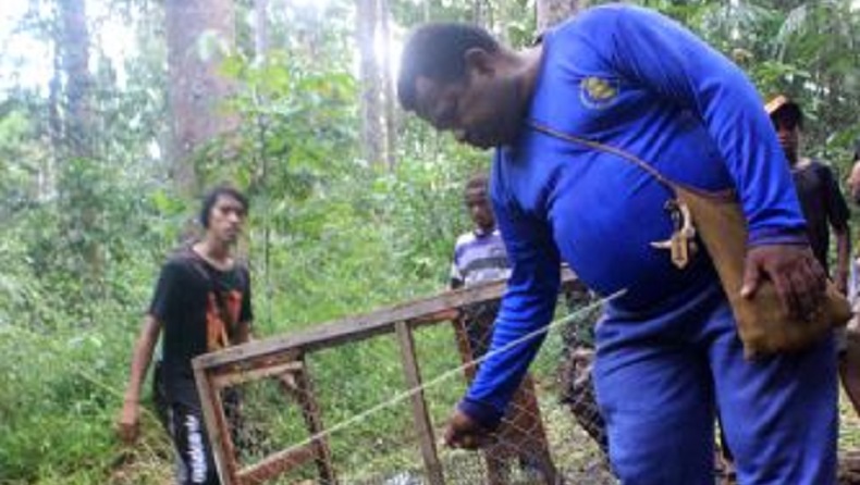 Taman Wisata Burung Sorong Masih Tutup, Petugas Jual Barang Pribadi untuk Pakan Satwa