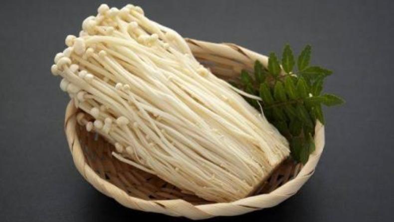 Tercemar Bakteri, Jamur Enoki Asal Korsel di Indonesia Ditarik