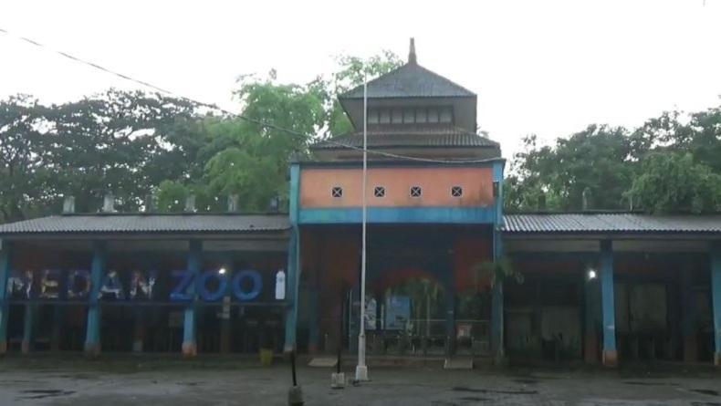 Beroperasi Kembali 1 Juli, Pengelola Medan Zoo Disinfeksi dan Bersihkan Kandang