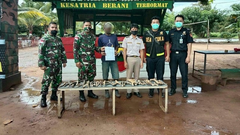 Warga Merauke Diduga Selundupkan Tanduk Rusa Seberat 6,48 Kg dari Papua Nugini